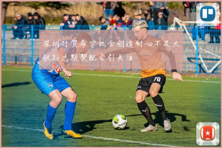 深圳对贺希宁机会创造耐心不足大秋孙总默契配合引关注