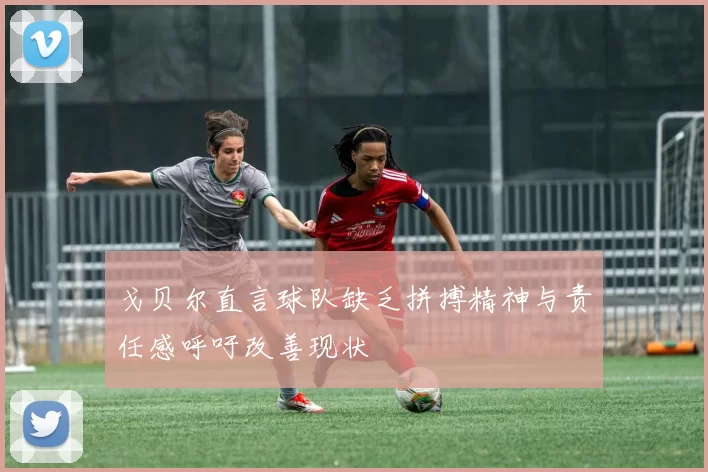 戈贝尔直言球队缺乏拼搏精神与责任感呼吁改善现状