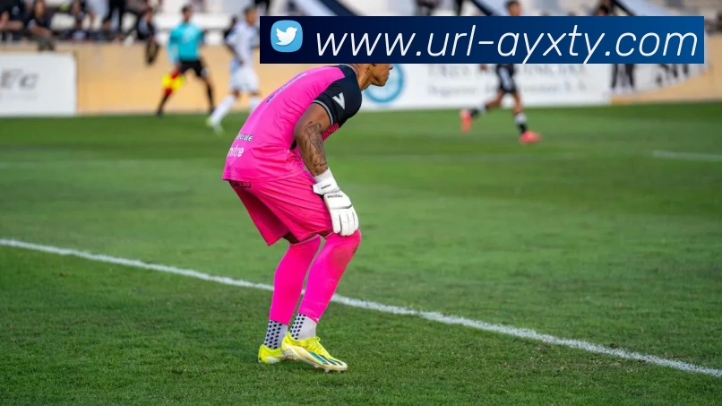 爱游戏品牌故事