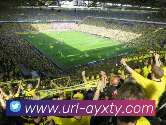 爱游戏服务体系